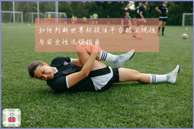 如何判断世界杯投注平台的正规性与安全性流程指南