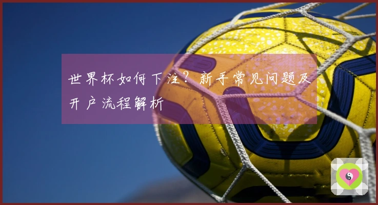 世界杯如何下注？新手常见问题及开户流程解析
