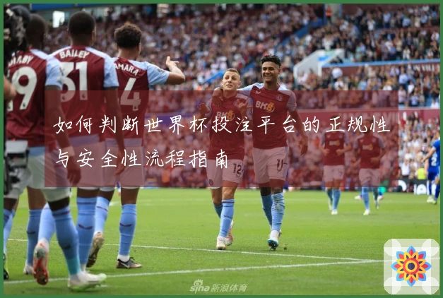 如何判断世界杯投注平台的正规性与安全性流程指南