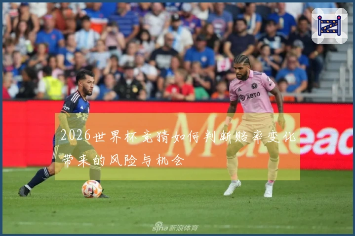 2026世界杯竞猜如何判断赔率变化带来的风险与机会