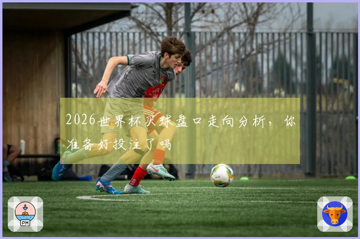2026世界杯买球盘口走向分析，你准备好投注了吗