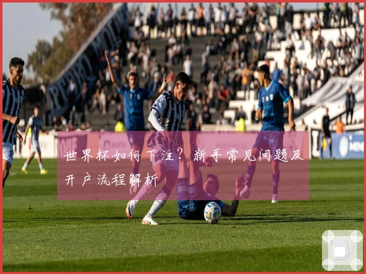 世界杯如何下注？新手常见问题及开户流程解析